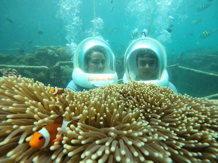 Bali Ocean Walker : Walking on the Sea at Nusa Dua - Activity Overview
