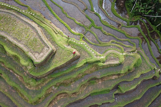 Bali Private Photographer & Drone - Location and Accessibility