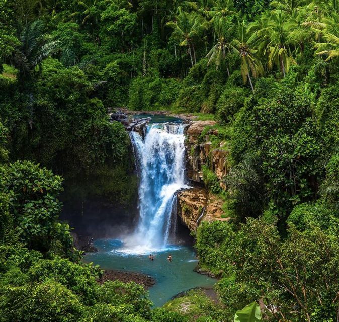 Bali: Rice Terraces, Holy Water Temple & Waterfall Tour