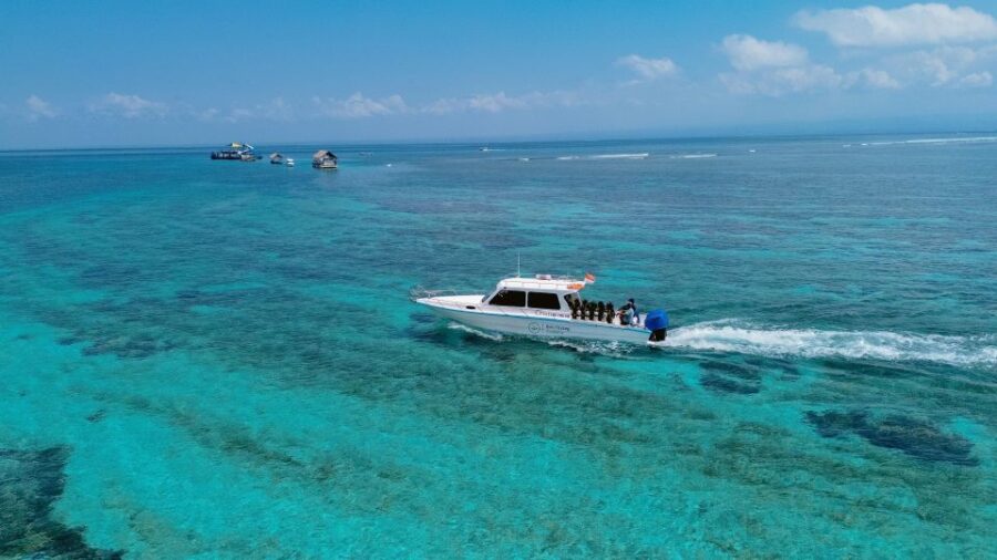 2 Best Scuba Diving Experiences In Sanur