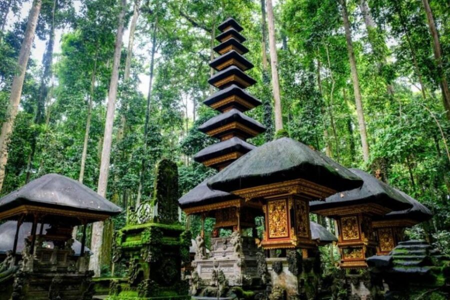 Bali Secret Waterfall Tour – Private and All-Inclusive