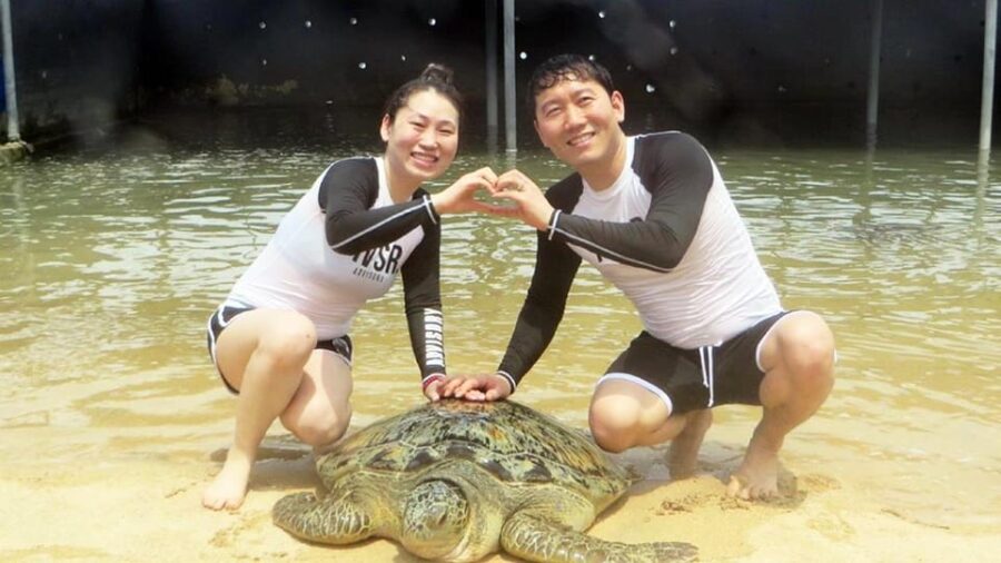 Bali: Snorkeling, Turtle Island and Uluwatu Kecak With Lunch