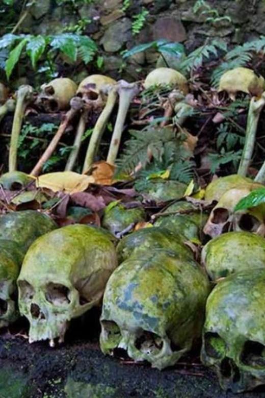 Bali: Trunyan Cemetery, Hot Springs, and Penglipuran Village