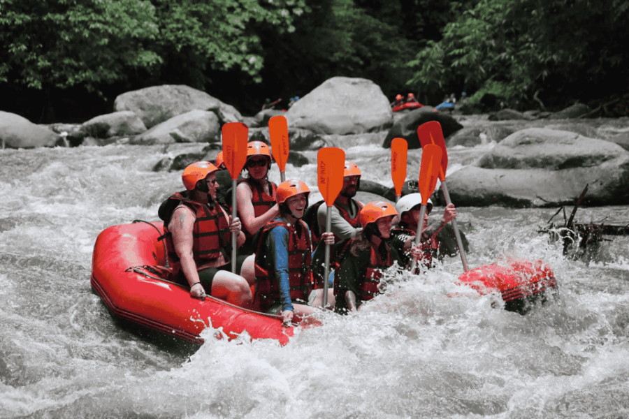 Bali: Ultimate White Water Rafting Experience & Buffet Lunch - Overview and Pricing
