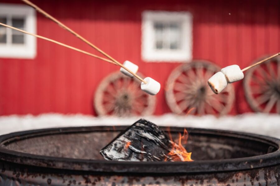 Banff: Family Friendly Horse-Drawn Sleigh Ride - Activity Overview