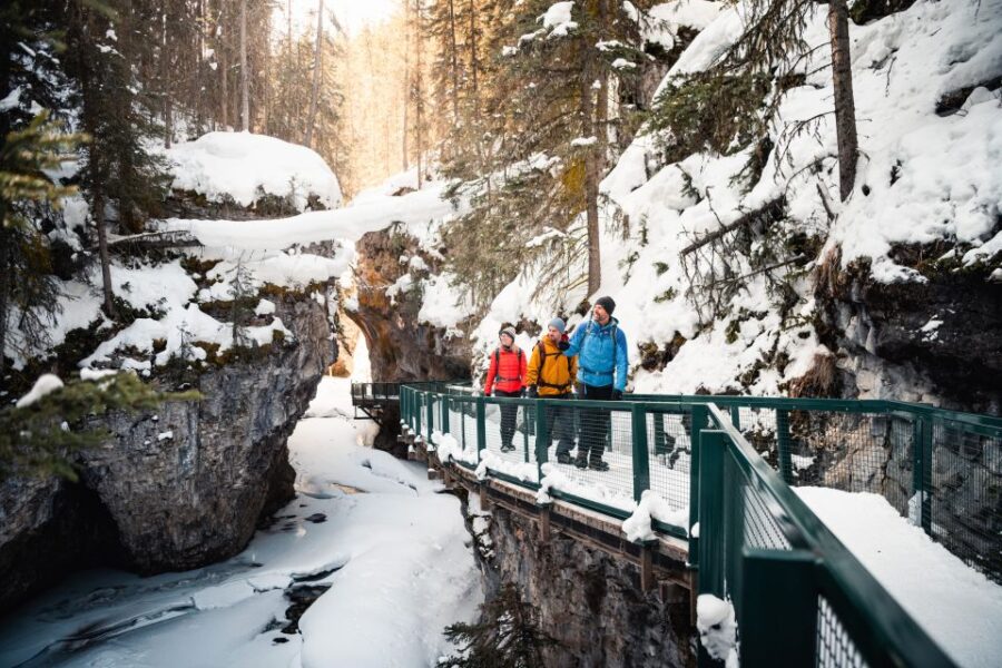 Banff: Morning or Afternoon Johnston Canyon Icewalk - Tour Overview