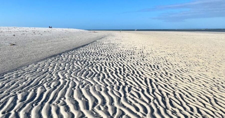 Barrier Island Shelling Tour - Tour Overview and Pricing