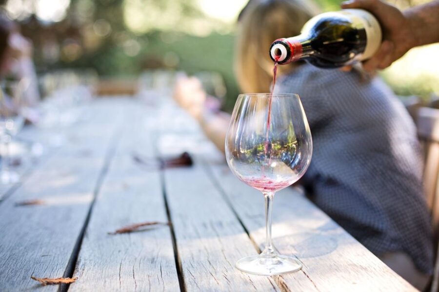 Basic Wine Route: Guadalupe Valley, Baja California