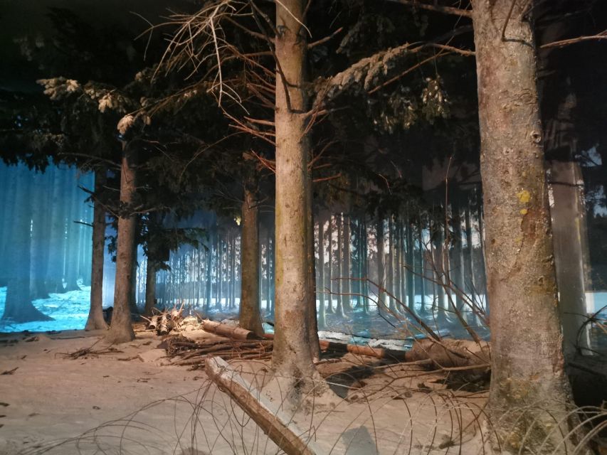 3 Best Tours In Bastogne