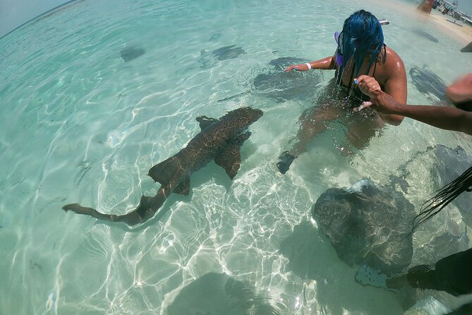 Be Your Own Captain Adventure: Bimini, Nassau, Exuma or Eleuthera
