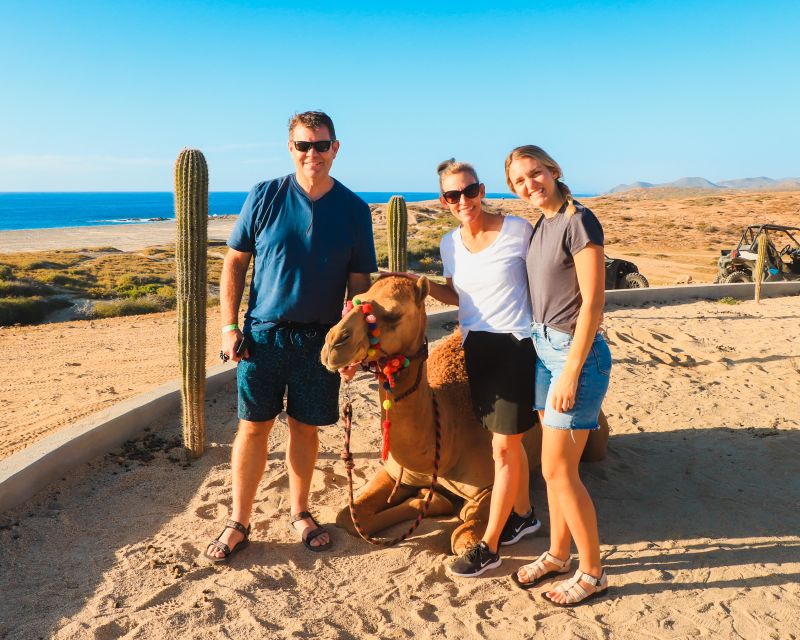 Beach Camel Ride & Encounter in Cabo by Cactus Tours Park