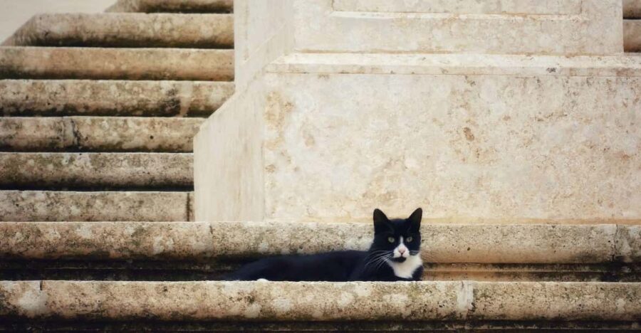 8 Best Historical Tours In Malta