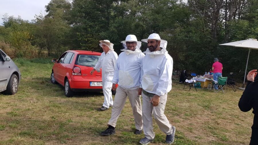 Bees in Romania - Private Beekeeping Lesson and Local Lunch - Activity Overview