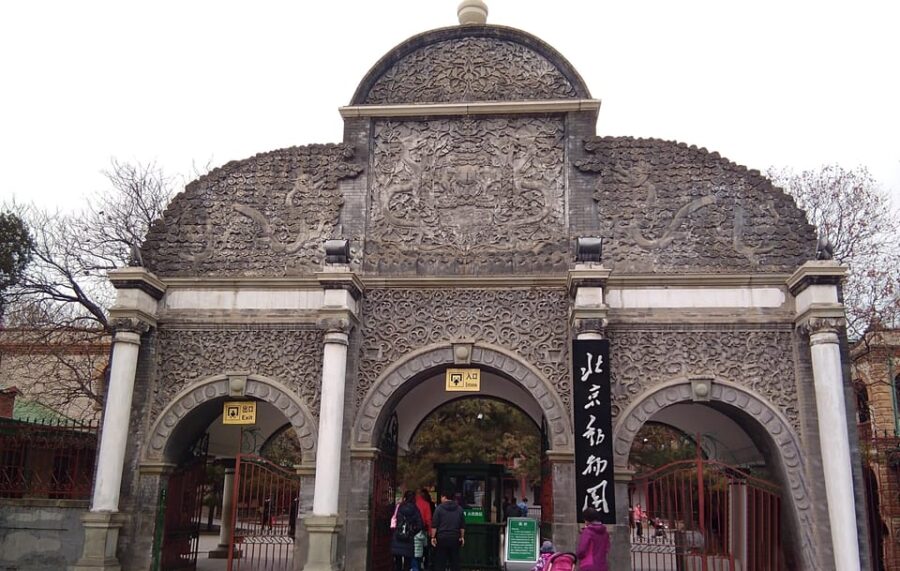 Beijing: Beijing Zoo Ticket; Fast and Smooth