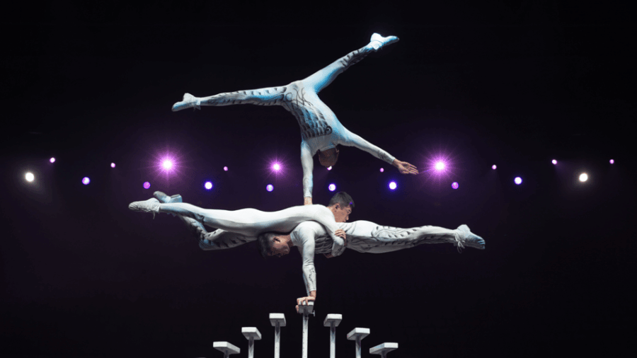 Beijing: Red Theatre Acrobatics Show Viewing Chinese Culture - Event Details