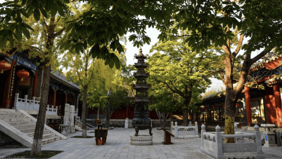 Beijing: Shaolin Temple Day Tour by Round Trip Bullet Train