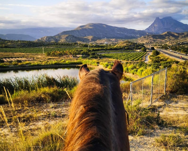 Benidorm: Horseback Riding in the Mountains of Villajoyosa