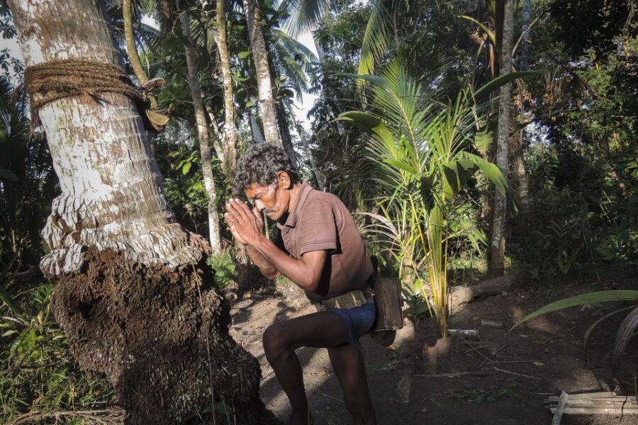 Bentota: Toddy Hunting Cycling Tour in the Countryside