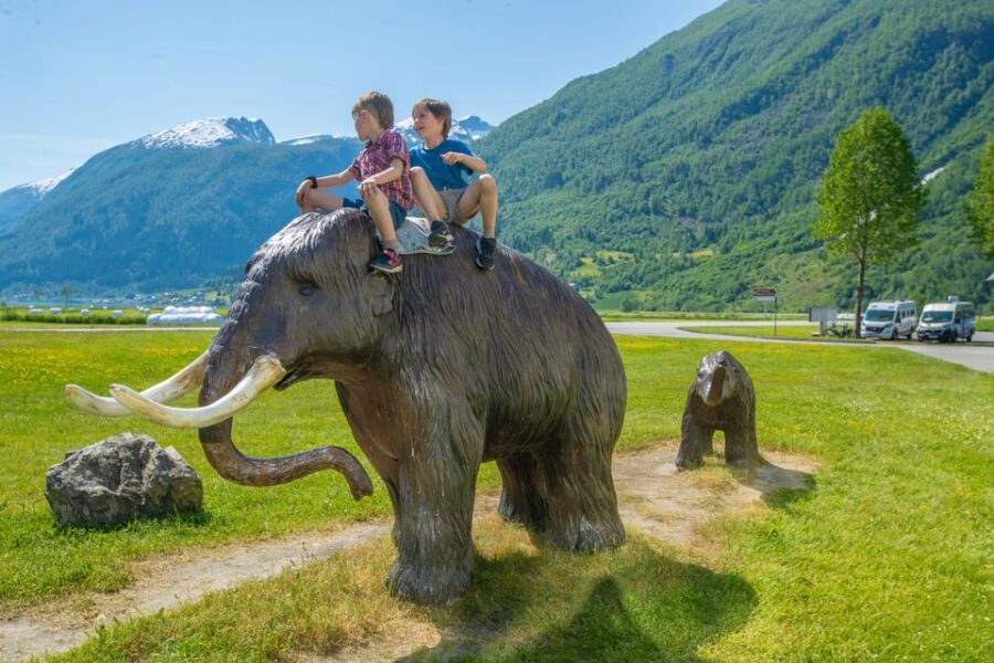 Bergen: Fjord Cruise to Sognefjord and Bøyabreen Glacier