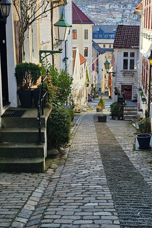 Bergen: Walking Tour