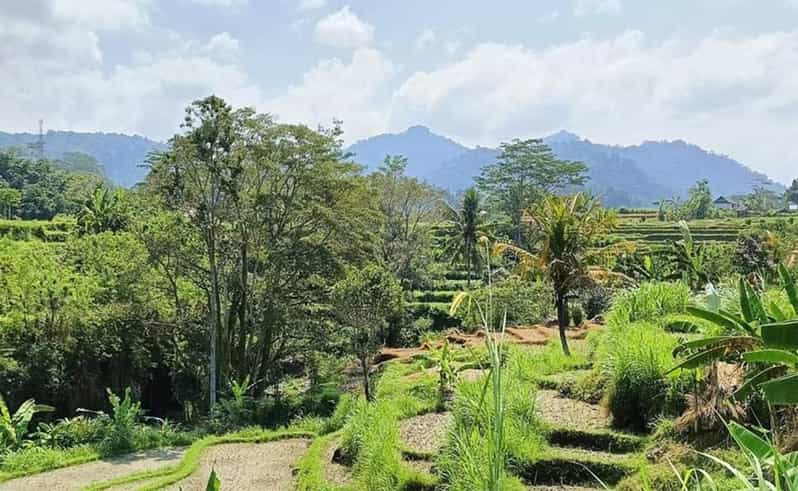 4 Best Tours In Sidemen Village
