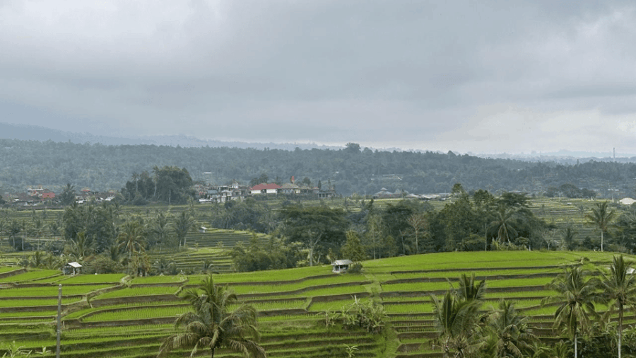 Best Attraction Waterfall and Temple North of Bali Tour - Tour Overview