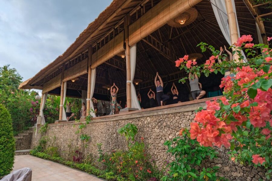 Best of Lovina North Bali: Yoga Retreat