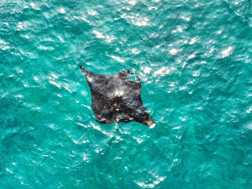 Best of Nusa Penida Day Tour and Private Snorkeling - Tour Overview and Itinerary