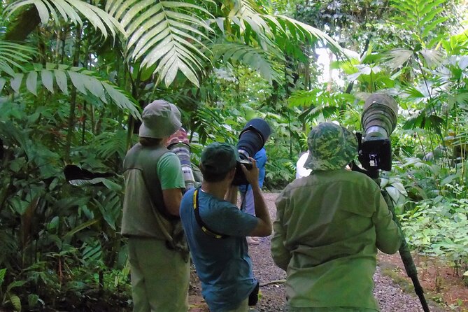 Best Sloths and Rainforest Arenal Guided Tour - Tour Overview