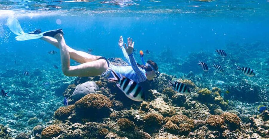 Best Snorkeling in Bali With Optional Tour & Activities