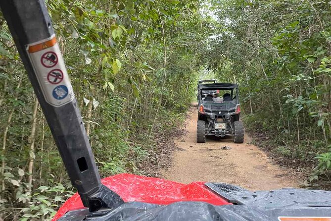 Bike and Buggy Excursion to Cenote Maya With Atypical Meal