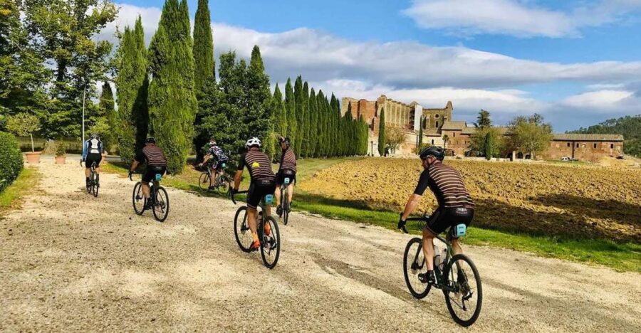 2 Best Guided Tours In Pienza