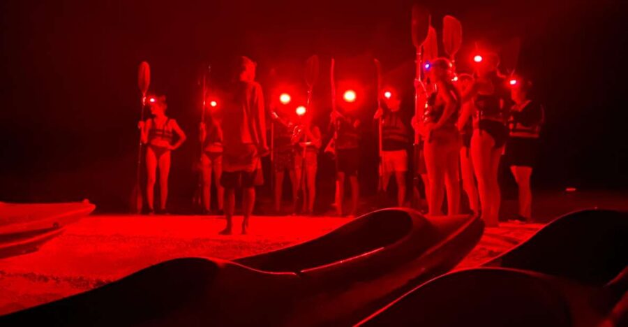 Bioluminescence Kayak Tour at Holbox