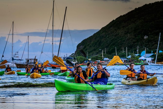 Bioluminescent Night Kayaking With Transport From San Juan
