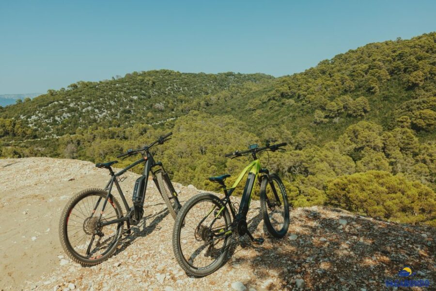Boat Tour From Ston to Mljet National Park - Tour Overview