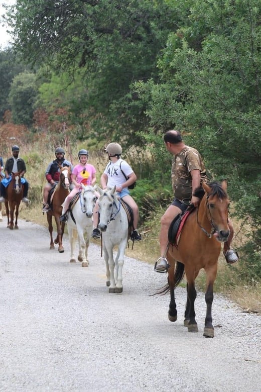 Bodrum Horse Riding With Final in the Sea