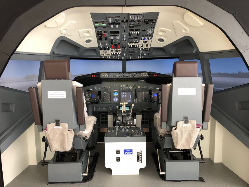 Boeing 737-800 Professional Simulator - 30 Minutes - Experience Overview