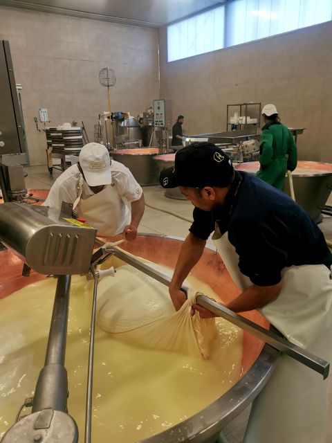 Bologna: Parmigiano, Wine and Balsamic Vinegar Experience