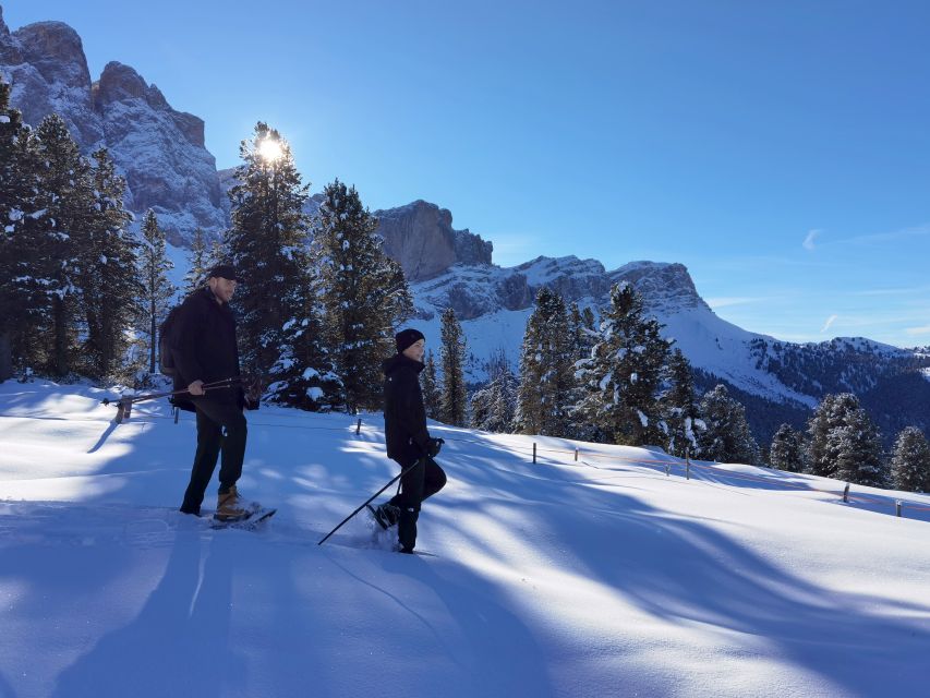 Bolzano Dolomites: Winter Hiking & Sledding Experience