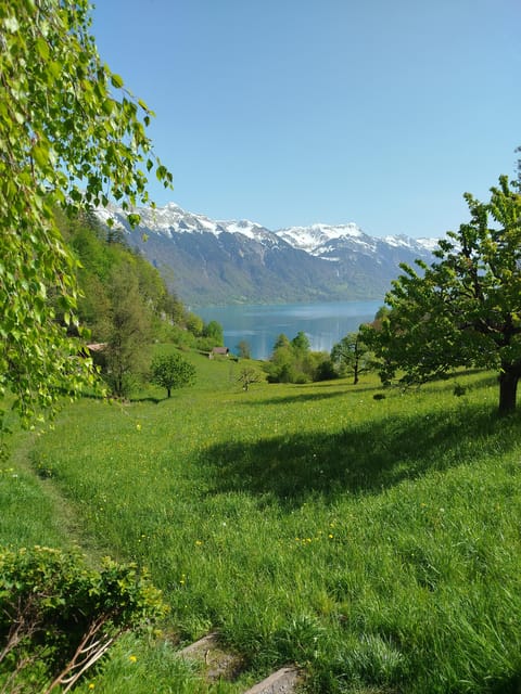 Bönigen: Lakeside Trail and Giessbach Waterfalls Hike