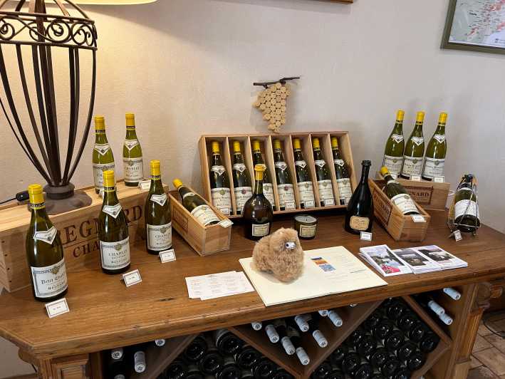 Bordeaux Private Walking & Tasting Tour