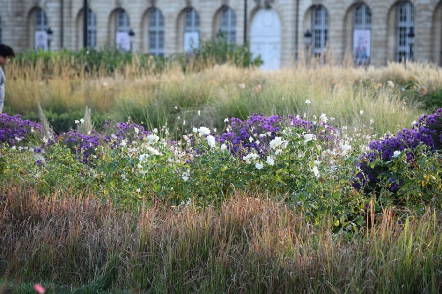 Bordeaux: See the Whole City by Bike - Tour Overview