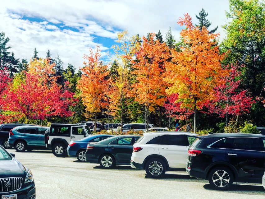 Boston: Fall Foliage Tour