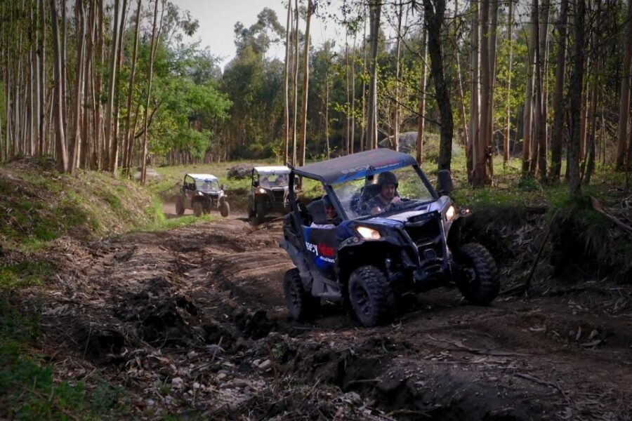 Braga: Off-Road Buggy Tour