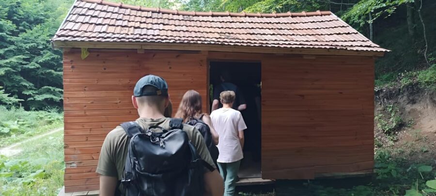 Brașov: 4-Hour Bear Watching Tour in Carpathian Mountains