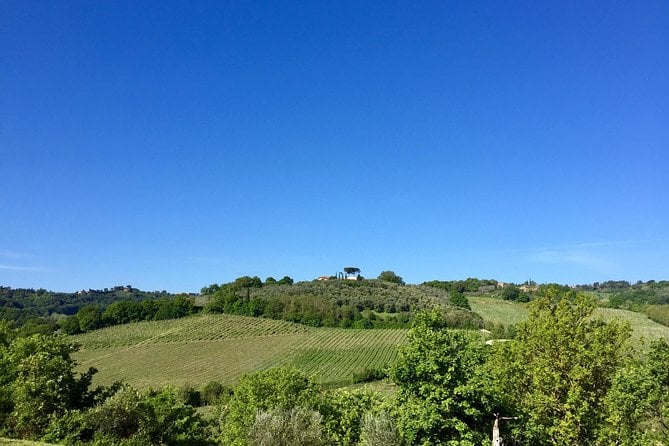 Brusca Wine Tour