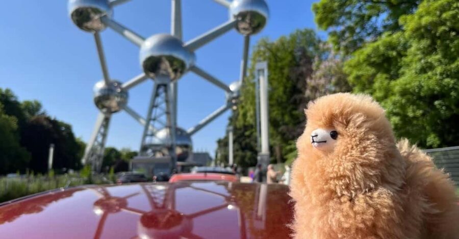 Brussels Day Trip From Paris or Amsterdam by Comfort Car