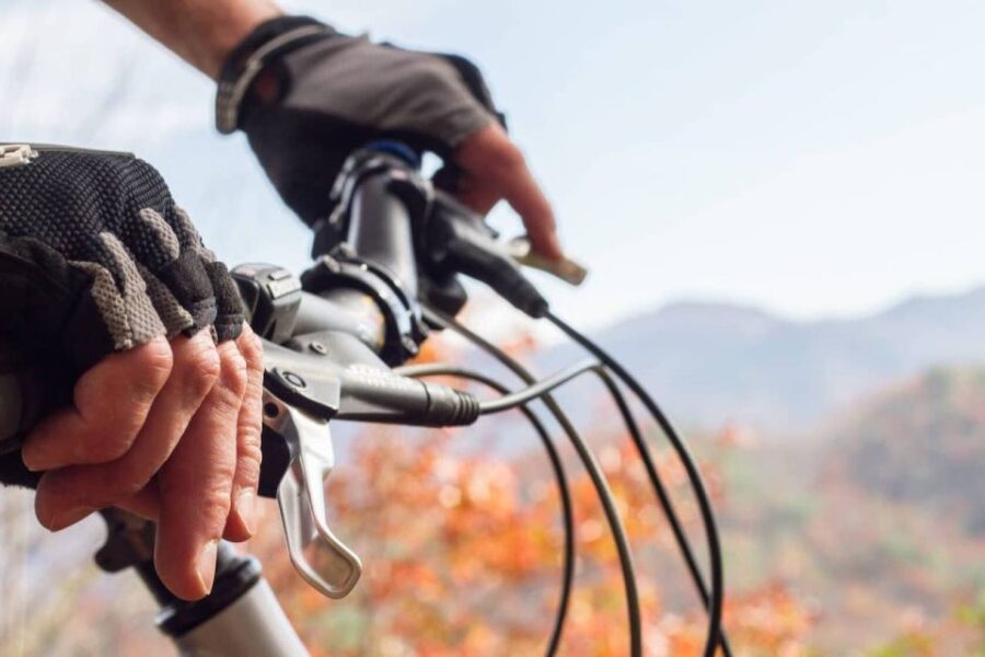 Bryson City: Tsali Recreation Area Guided Mountain Bike Tour