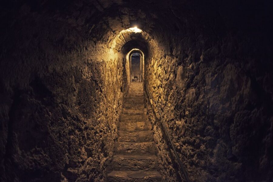 Bucharest: Dracula Castle, Peles Castle & Brasov Guided Tour