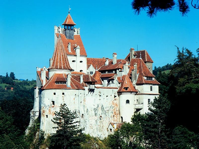 Bucharest: Peles Castle, Draculas Castle and Brasov Tour